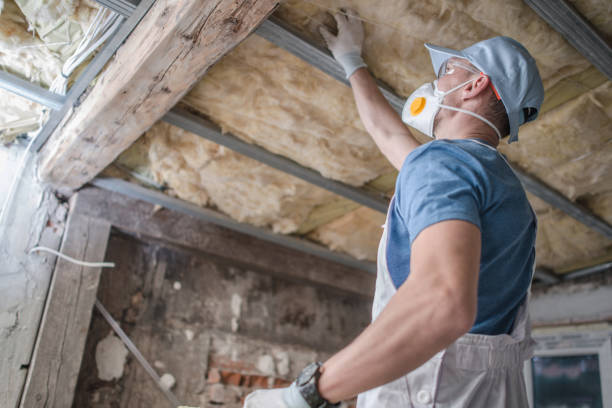 Best Insulation Contractors for Homes  in River Ridge, LA